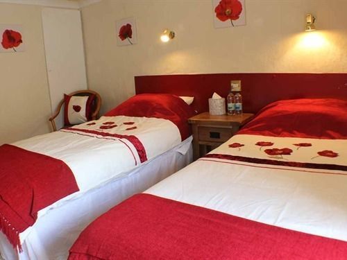 Afon Duad Inn Cwm-Duad Экстерьер фото